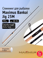 Спиннинг для рыбалки Maximus Bankai Jig 25XH, 2,5 м, 40-90 г
