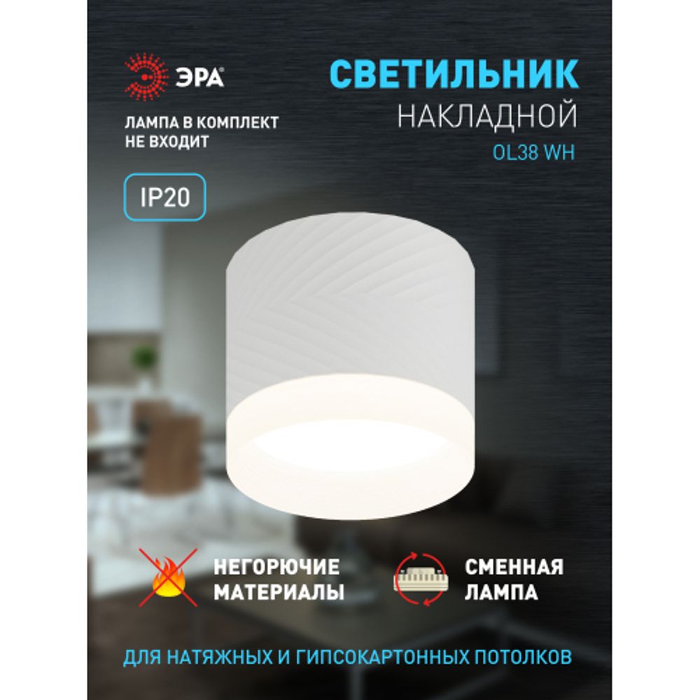 Светильник настенно-потолочный спот ЭРА OL38 WH под GX53 IP20 белый | Накладные светильники