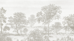 Коллекция ESTAMPE