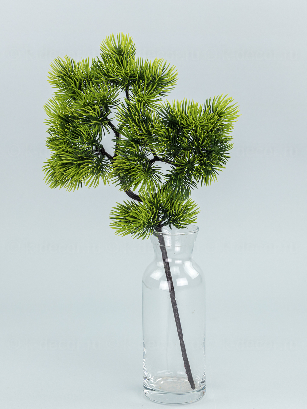 Ветка Бонсай