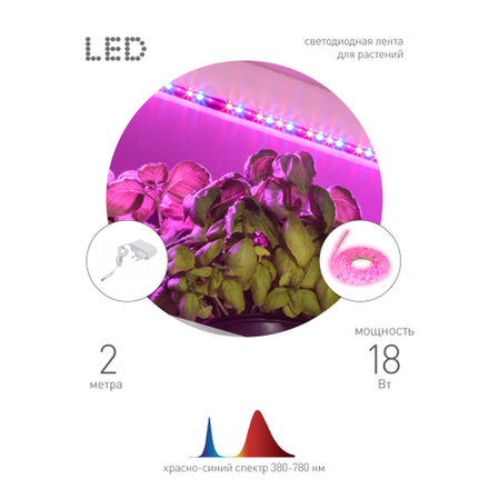 Светодиодная лента для растений ЭРА FITO-Strip Light-RB-2m красно-синего спектра, 2 м, IP65 с адаптером 12V в комплекте