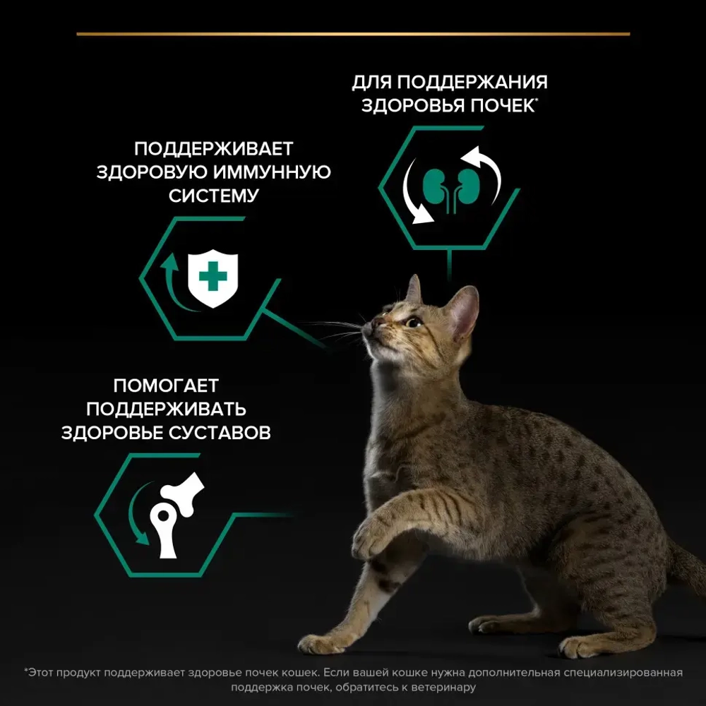 Pro plan cat adult сухой корм для взрослых кошек с курицей - 1,5 кг