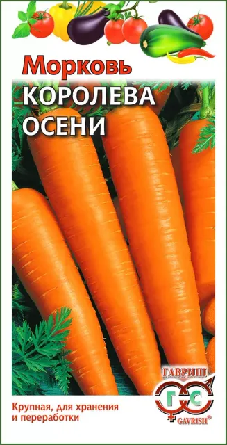 Морковь