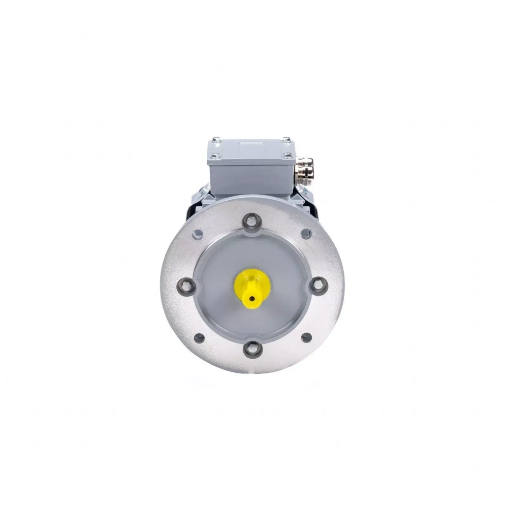 Электродвигатель ESQ PR 355 MА4-SDN-Б1-S12-IE3 250/1500 IMB35