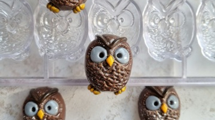 637 | Форма для шоколадных изделий "Совушка" (275*135 мм)