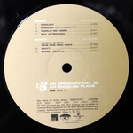 Us3 / An Ordinary Day In An Unusual Place (2LP)
