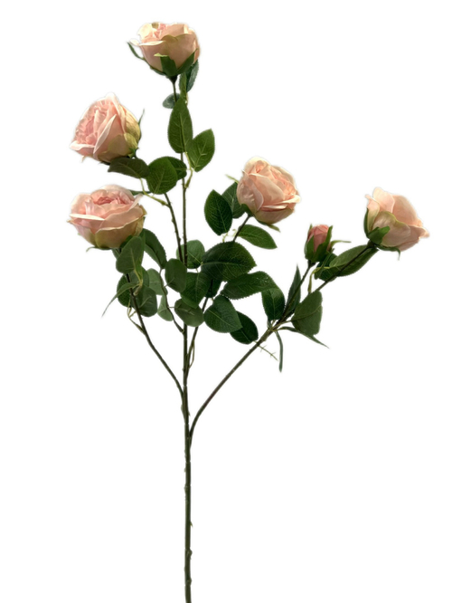 Роза кустовая розовая 74 см