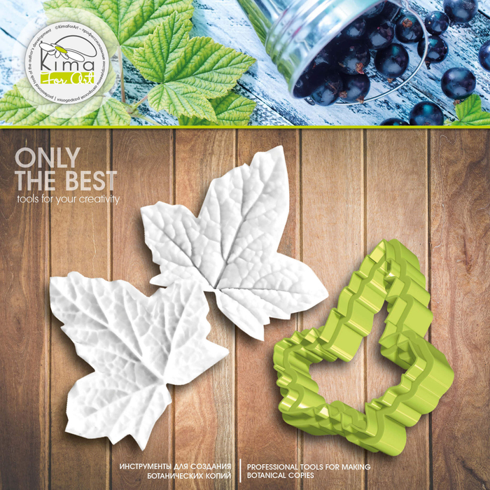 Смородина лист маленький