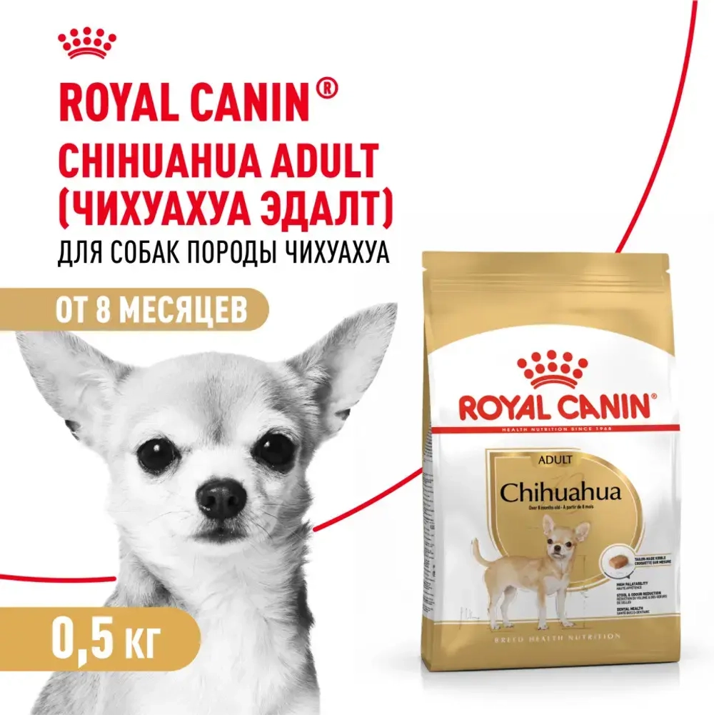 Royal canin adult сухой корм для взрослых собак породы чихуахуа - 500 г