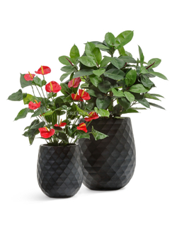 Кашпо TREEZ ERGO - серия Diamond - Округлая чаша - Антрацит