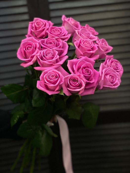 Букет из 15 голландских роз 60 см ( цвет на роз на выбор) #14157
