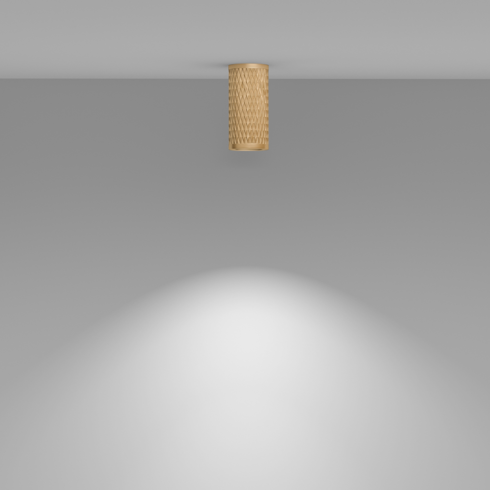 Накладной светильник Maytoni Focus Design C036CL-01G