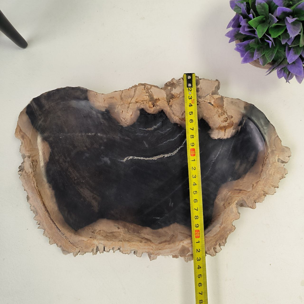Набор из окаменелого дерева 3 предм Fossil Set NF-62867 поднос 23см*36см