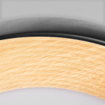 Потолочный светодиодный светильник Loft It Folk 10255/500 Black