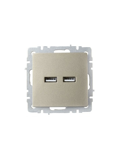 Розетка BRITE USB A+A 3.1А РЮ10-1-БрШ механизм шампань IEK BR-U21-D31-K37