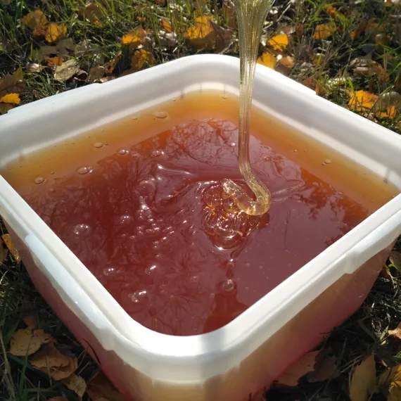 Mountain honey (Soloneshnoe) 1 kg