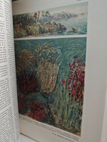 Большая Советская Энциклопедия, в 51 томе. Том 28