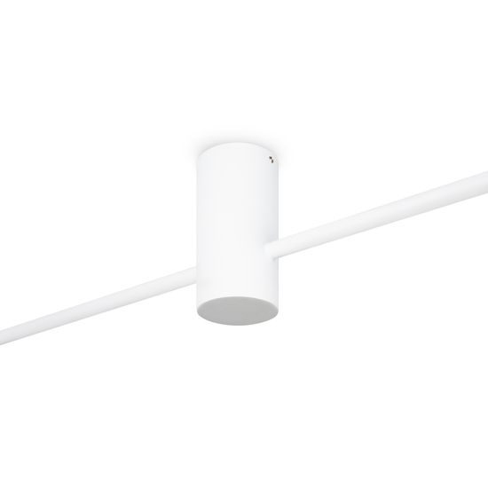 Потолочный светильник Freya FR5363CL-02W1