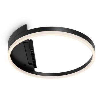 Потолочный светильник Freya FR6084CL-L68B