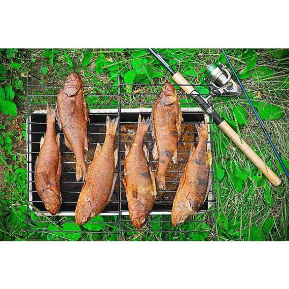 Коптильня двухъярусная Стандарт с поддоном для сбора жира 380x280x170 (сталь 0,8 мм)