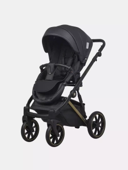 Коляска MONTANA PREMIUM (2 в 1) (RIKO BASIC)