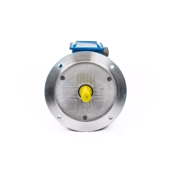 Электродвигатель 5АИ 100 L2 5,5/3000 IM3081