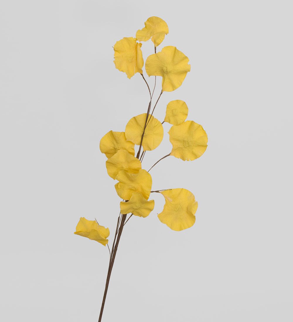 TRN 230 Цветной горошек