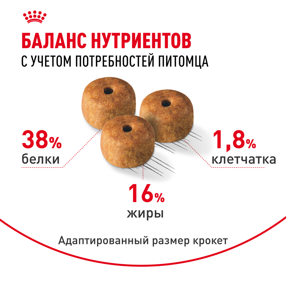 Royal Canin Siamese Adult Корм сухой сбалансированный для взрослых сиамских кошек 2 кг