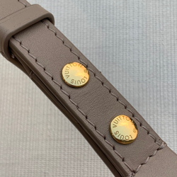 Louis Vuitton Multi Pochette Accessoires