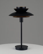 Лампа настольная Moderli V11295-1T Shaggy