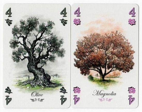 Настольная игра Арборетум