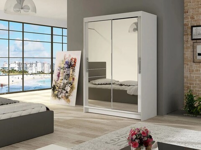 Шкаф-купе Сальвия Белый 101  140*45*240