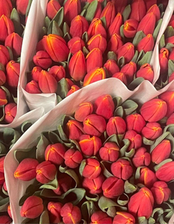 Банч 100 тюльпанов красно-желтых