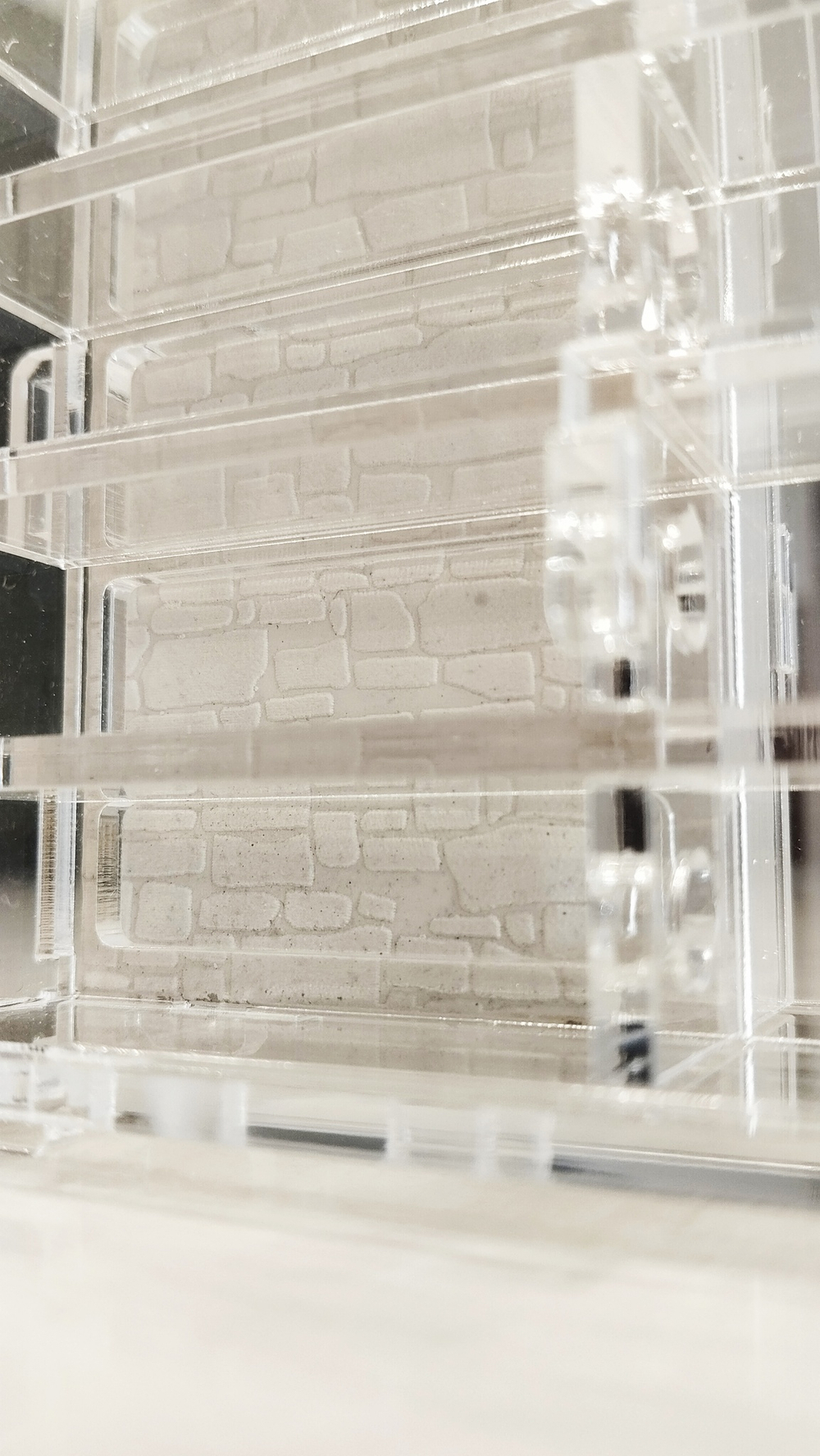 формикарий Crystal L pro + колония Messor Barbarus