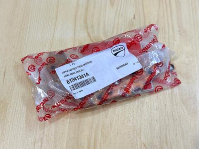 Ducati Тормозные колодки передние Multistrada V4 / Streetfighter V4 61341341A (1 суппорт)