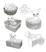 Lovely Dogs. Coloring book