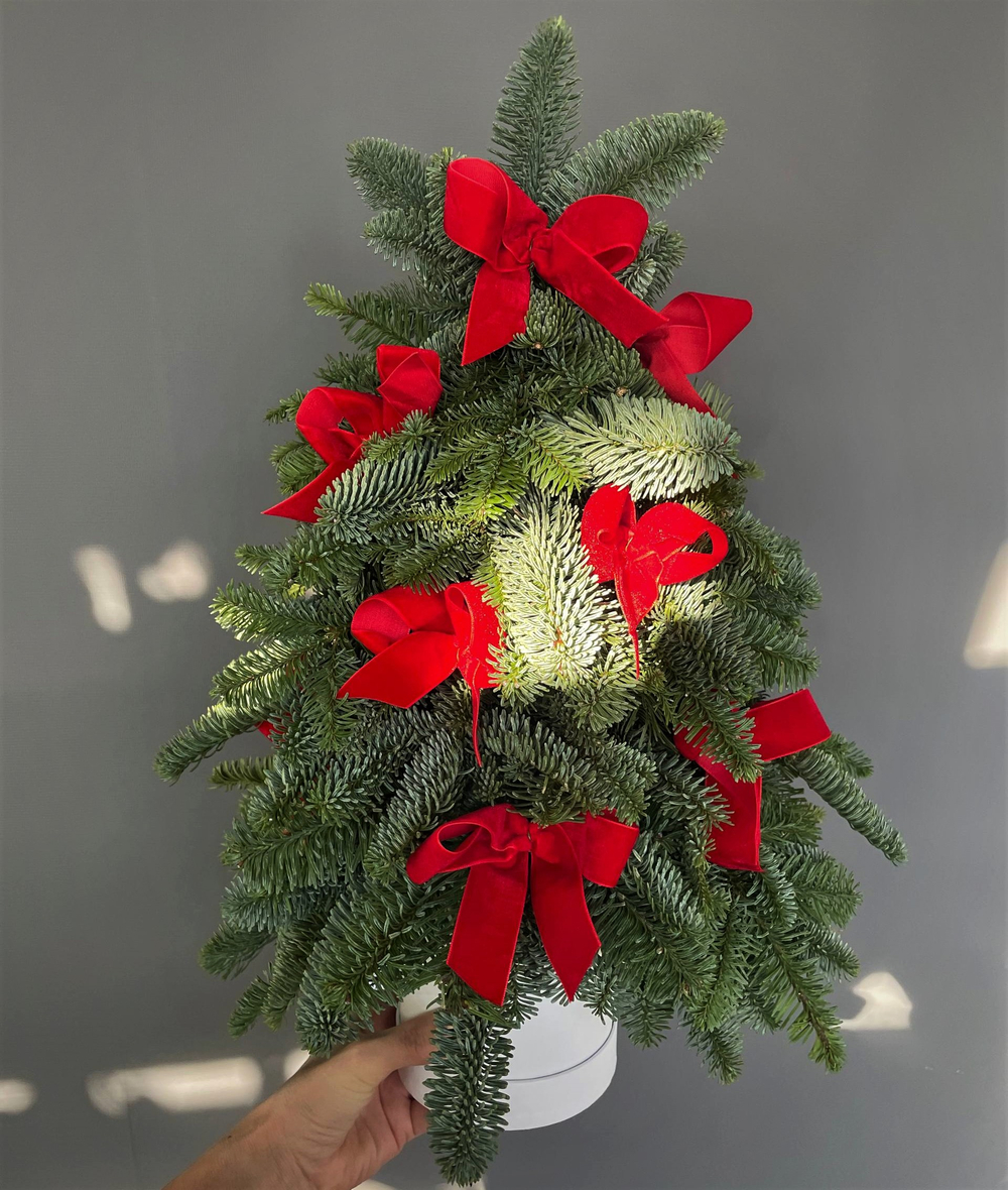 Елочка из нобилиса