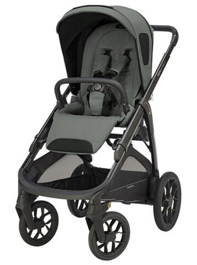 Прогулочная коляска Inglesina Aptica XT 2025 Taiga Green