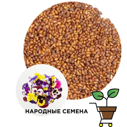 Виола смесь (пищевые цветы, семена)