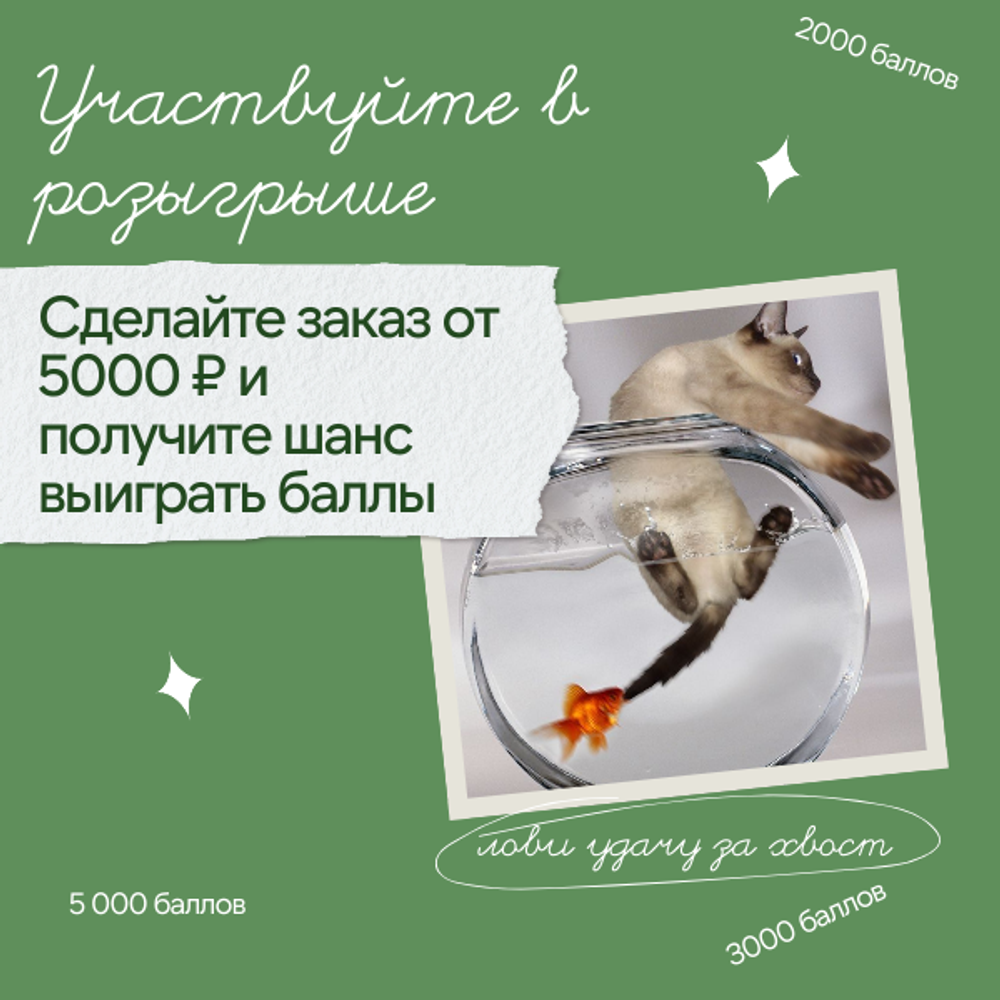 Большой розыгрыш баллов