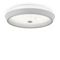 Потолочный светодиодный светильник Freya Cells FR10012CL-L24W