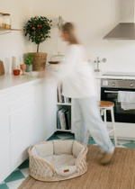 Лежанка из лозы "Пони-Набалкони"