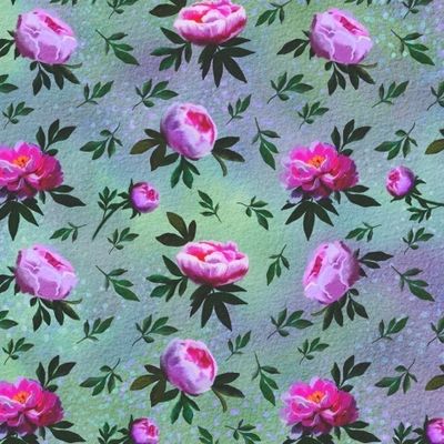 Нежный пион