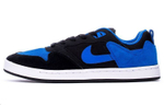 Кроссовки Nike Sb Alleyoop Royal