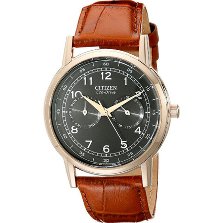 Мужские наручные часы Citizen AO9003-08E