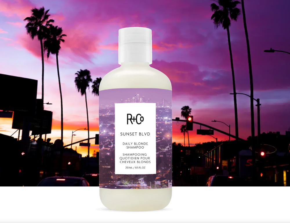 R+Co SUNSET BLVD Daily Blonde Shampoo/САНСЕТ БУЛЬВАР шампунь для светлых волос, 251мл
