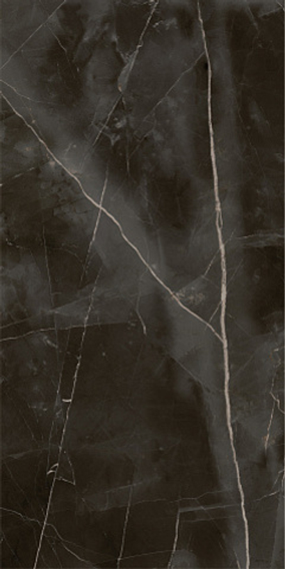 Керамогранит Italon Stellaris Absolut Black шлиф 610015000682 60х120 см