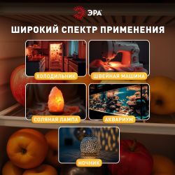 Лампа накаливания ЭРА T26-15-E14-230 15Вт 230В для холодильника и швейной машины цветная коробка Е14