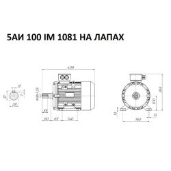Электродвигатель трехфазный 5АИ 100 S2 IM 1081 4 кВт/3000 об.мин