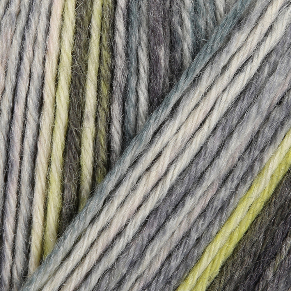 Пряжа для вязания Nordic Nature Color (06107) Schachenmayr Regia, 6 ниток (150г/375м).